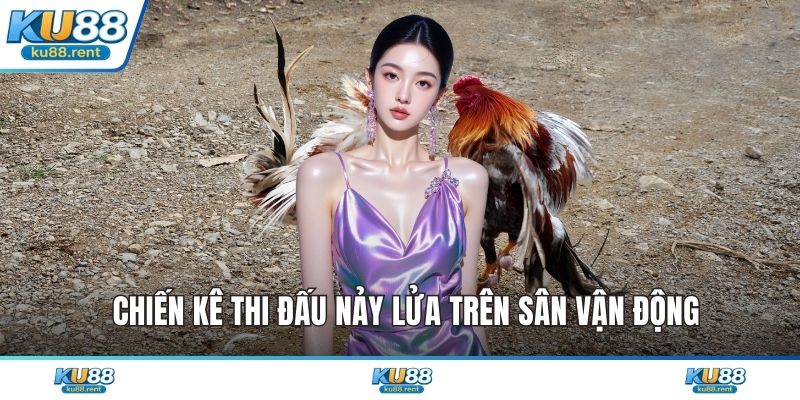  Chiến kê thi đấu nảy lửa trên sân vận động