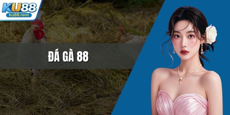 Đá gà 88