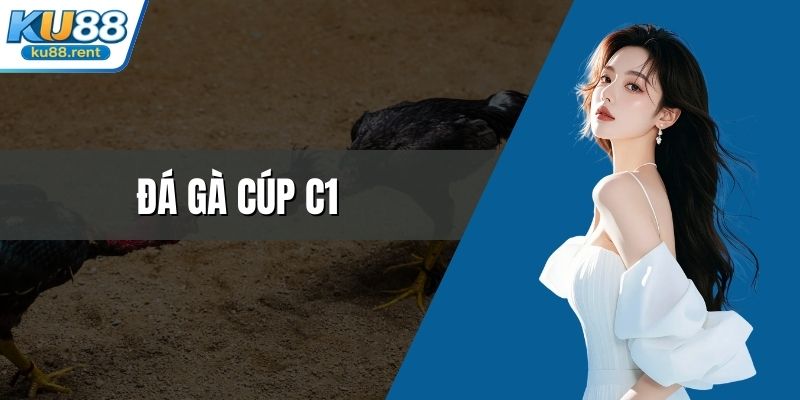 Đá gà cúp C1