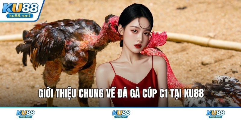 Giới thiệu chung về đá gà cúp C1 tại KU88