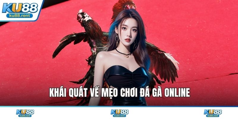 Khái quát về mẹo chơi đá gà online
