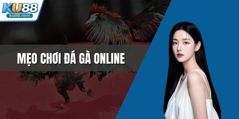 Mẹo chơi đá gà online