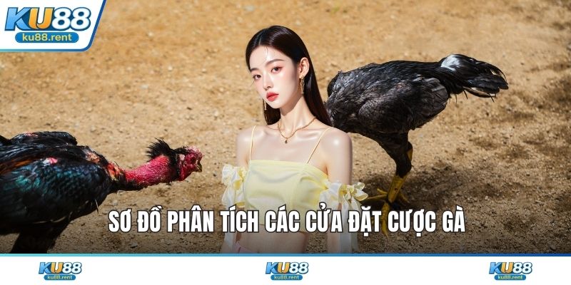 Sơ đồ phân tích các cửa đặt cược gà