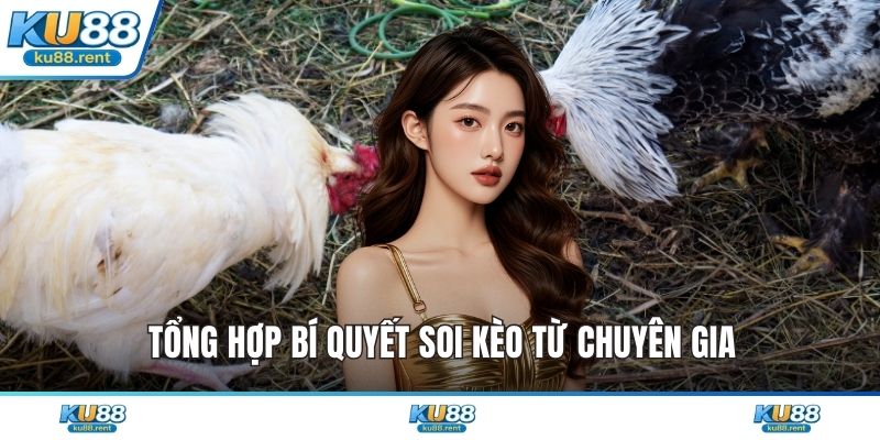 Tổng hợp bí quyết soi kèo từ chuyên gia
