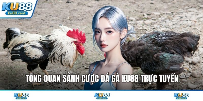 Tổng quan sảnh cược đá gà KU88 trực tuyến